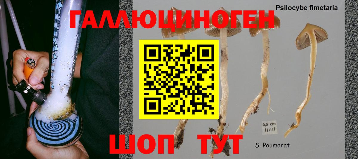 Псилоцибиновые грибы мицелий Надым